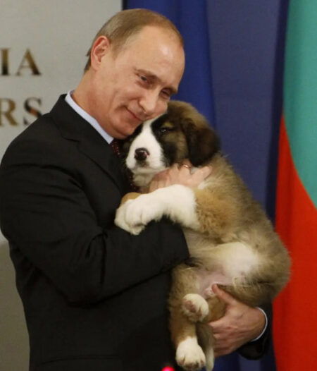 プーチン大統領の愛犬の種類や名前は 子犬の持ち方で怒った 愛犬家エピソード 気になるet Cetera