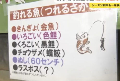 廃業か 魚大量死で号泣山田和位 やまだ かずのり 店長のつりぼり本舗の場所 どんなところ 岐阜県土岐市 窃盗被害